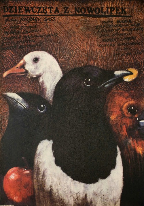 Dziewczeta z Nowolipek